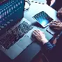 半岛体育-开发者社区动态显示，DAO迎来新一轮爆发