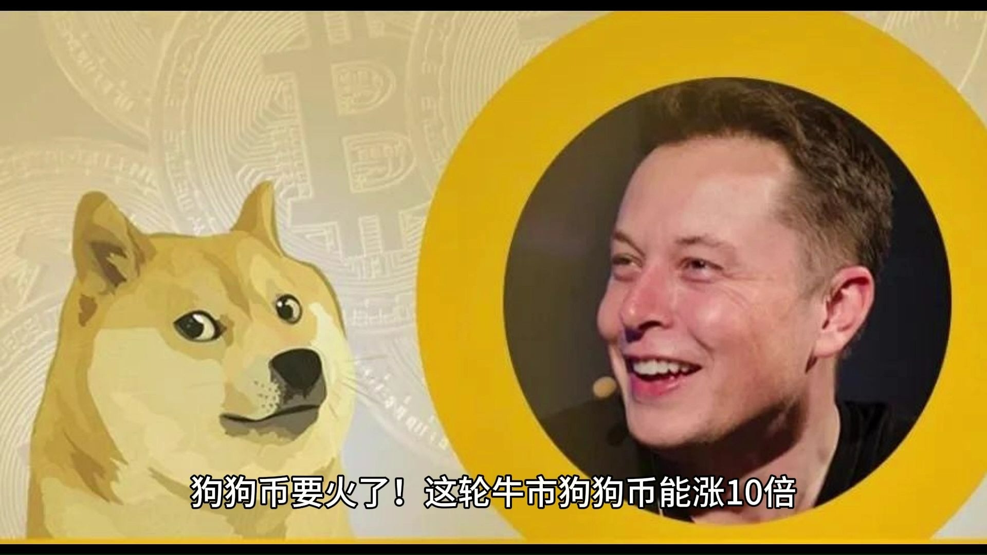 狗狗币突遭安全漏洞，流失高达451万美元